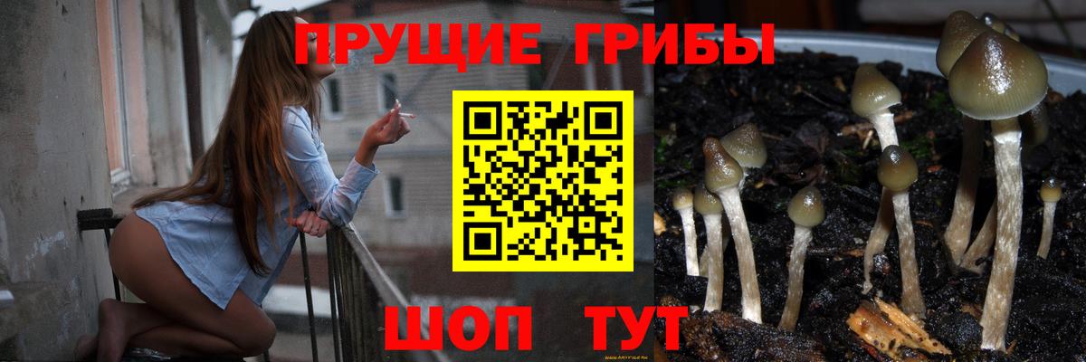 Муром  Галлюциногенные грибы мицелий  Галлюциногенные грибы GOLDEN TEACHER  Вход с VPN 